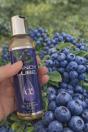 CandyLubeBlueberries